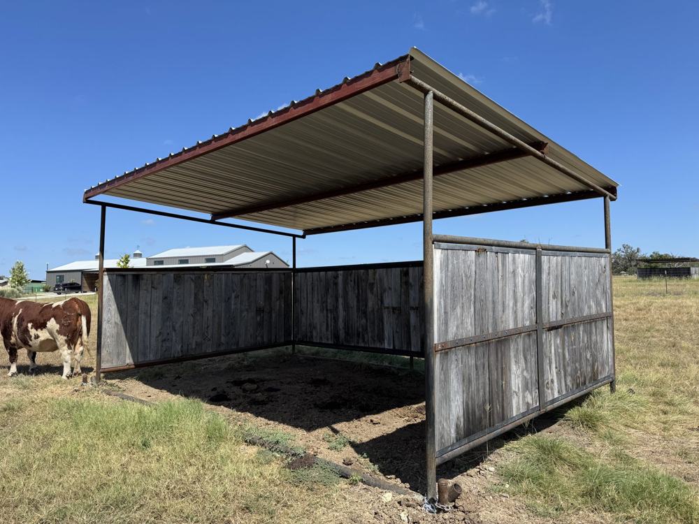 Cattle shelter with metal roof